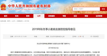 全國(guó)農(nóng)業(yè)技術(shù)推廣服務(wù)中心發(fā)布2019年秋冬季小麥主產(chǎn)區(qū)重點(diǎn)病蟲害防控指南 提前預(yù)防，科技助力軟件開發(fā)