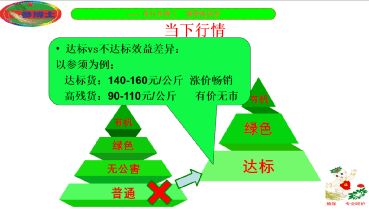 撫松縣人參產(chǎn)業(yè)重大技術(shù)協(xié)同推廣項(xiàng)目培訓(xùn)會(huì)開講 科技賦能，助力人參產(chǎn)業(yè)高質(zhì)量發(fā)展